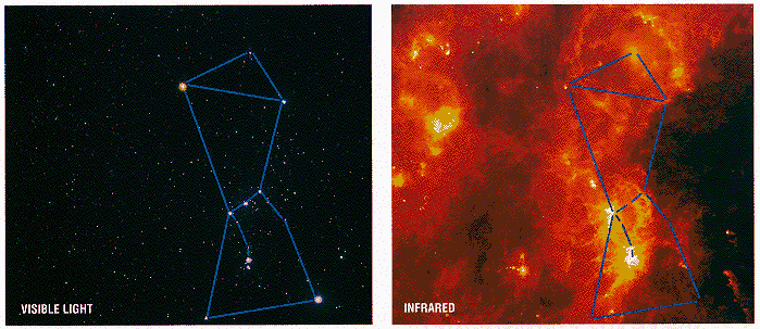 Contrasting Views of Orion